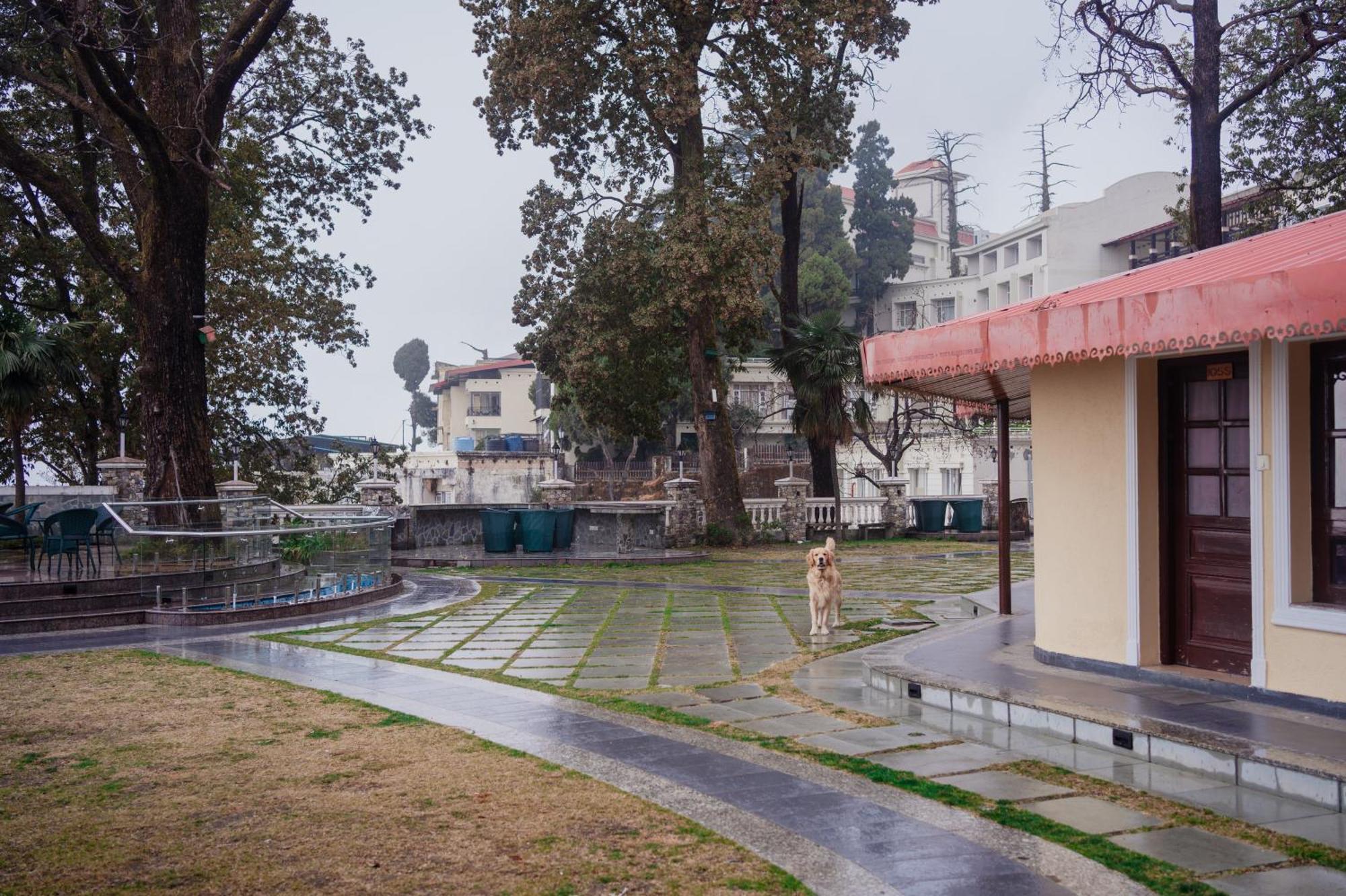 Bliss & Company By Hnh Hotel Mussoorie Ngoại thất bức ảnh